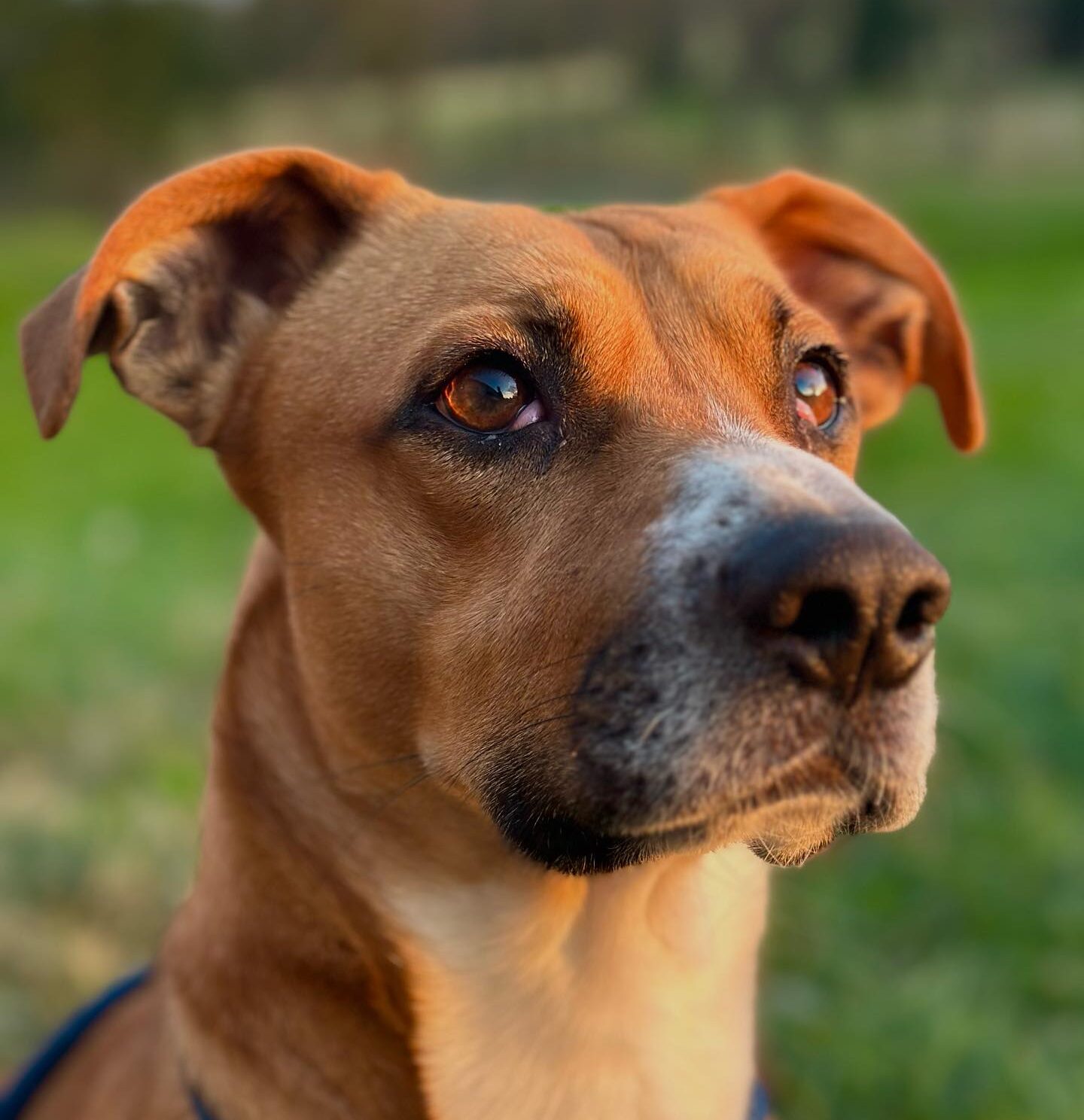 60957FE2-2717-4E86-ADE7-5B296131CB22