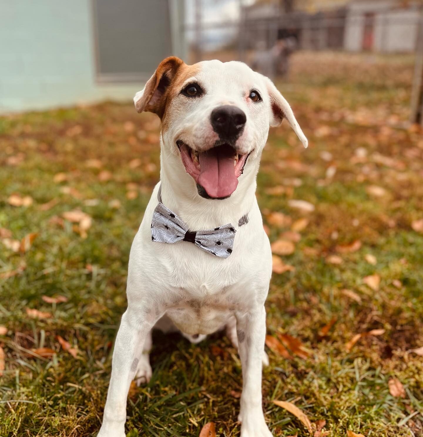 65759D91-98DF-46C6-AE5F-7745206E1584