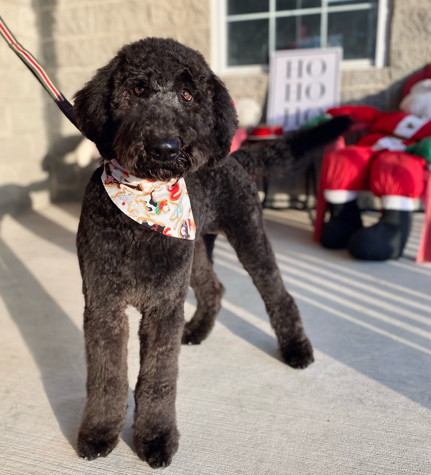 BD3D4F1C-92B4-4411-BDB0-B003EAA081CE