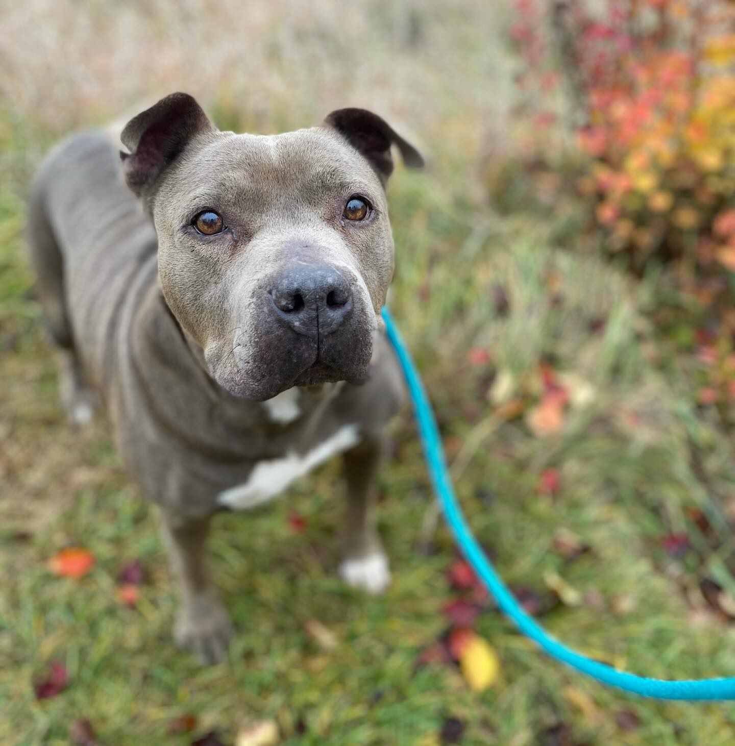 D3C7157E-A940-4A6B-B640-5DCC2BCB61A9