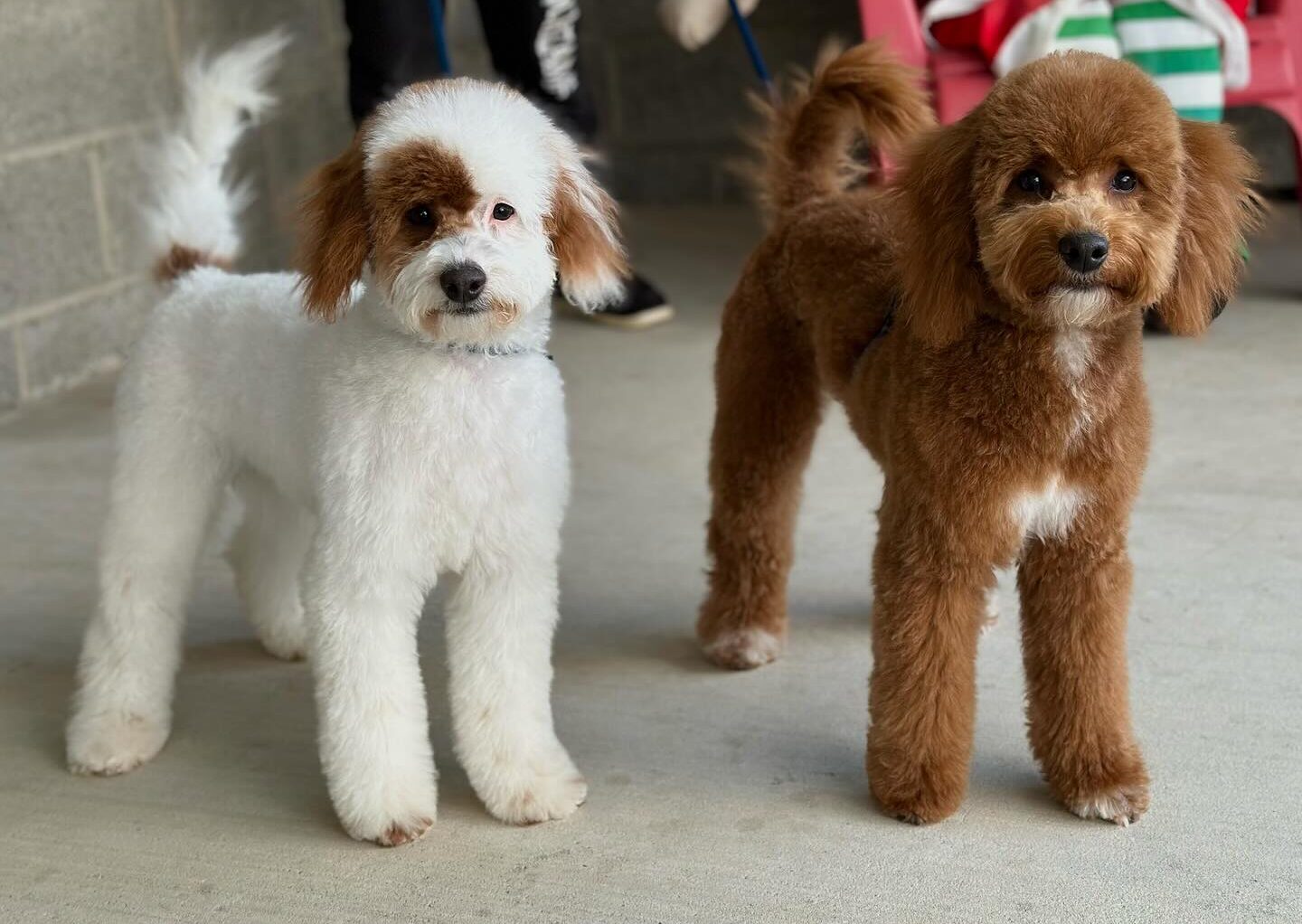 DC8D0059-CFF9-415E-ADD9-239FC28A75F7